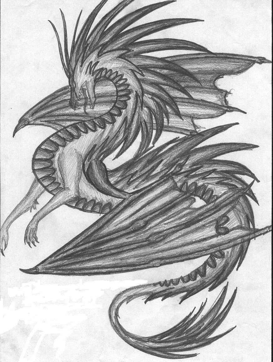 dragon_drawing_by_fantasi_dragen.jpg